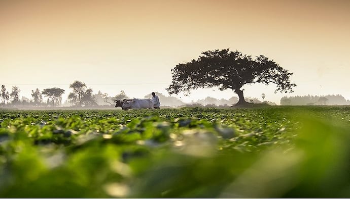 PM Kisan Samman Nidhi Yojana: Check eligibility, benefits and application process