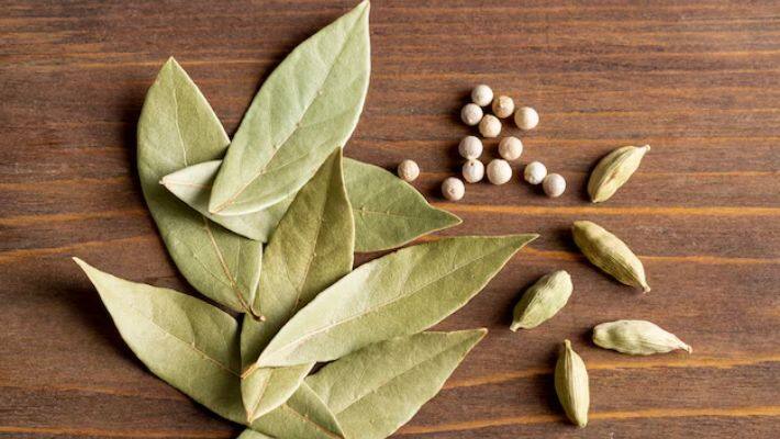 Jai Madaan Bay Leaf Vastu