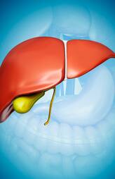 7 Superfoods for a Healthy Liver