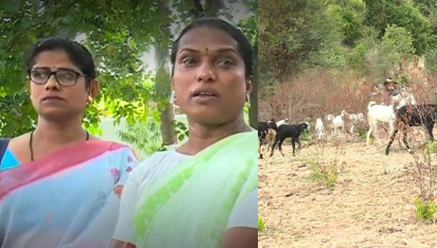 Theft of over 40 sheep belonging to transgenders at chitradurga