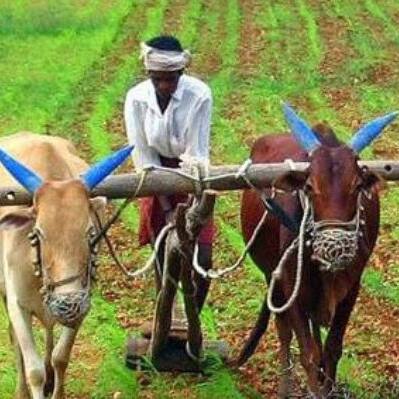 Andhra Pradesh రైతులకు శుభవార్త..ఒక్కొక్కరి అకౌంట్‌ లో రూ.7 వేలు..ఎప్పుడంటే..!