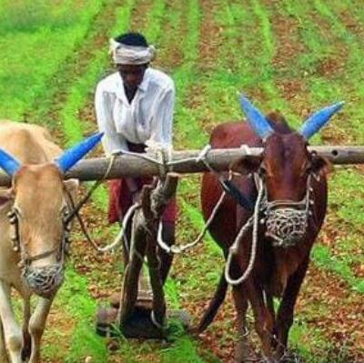Andhra Pradesh: అన్నదాత సుఖీభవ పథకానికి ఎవరు అర్హులు...ఆ పథకానికి ఎలా దరఖాస్తు చేసుకోవాలి..!
