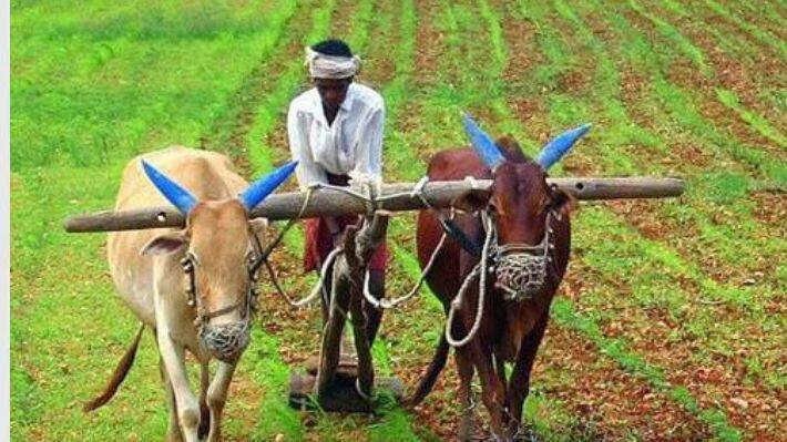 Good news for farmers
