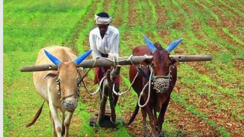 How to apply for an Agriculture Loan in India? Complete process explained