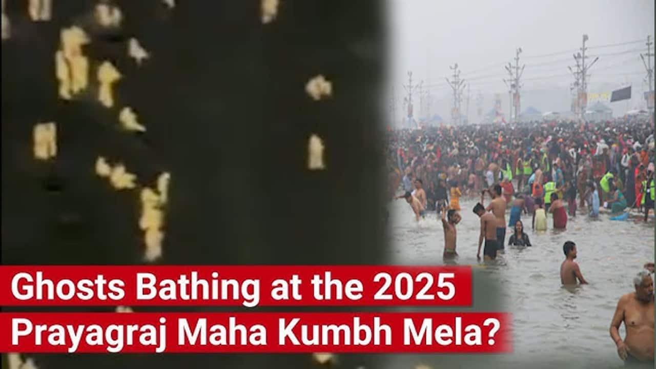 fact check were some unnatural things seen bathing in mahakumbh what is the truth of the video and claim suc