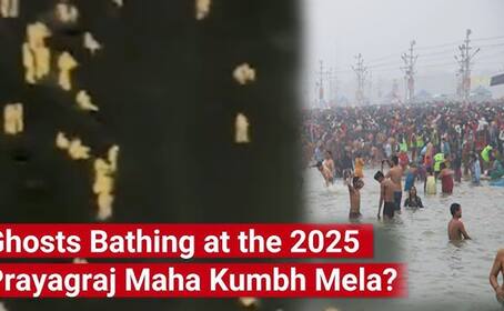 fact check were some unnatural things seen bathing in mahakumbh what is the truth of the video and claim suc
