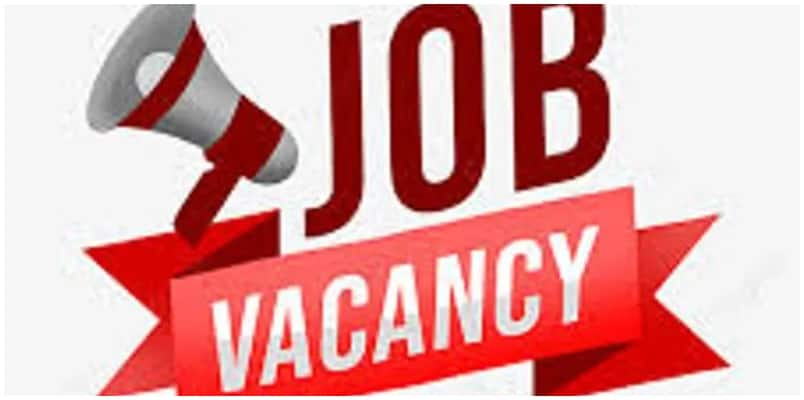 Bureau of Indian Standards BIS invites application for promotional consultants posts check salary last date 