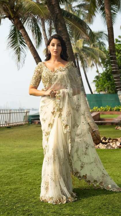 Heavy Embroidered White Sheer Saree