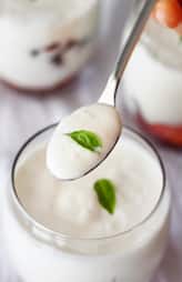 Best Time to Eat Curd in Summer for Health Benefits