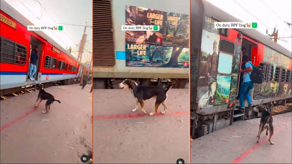 Dog Chases Commuters inside Train who hanging from train doors