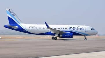 indigo-holi-sale-2025-cheap-flights-tickets-domestic-international