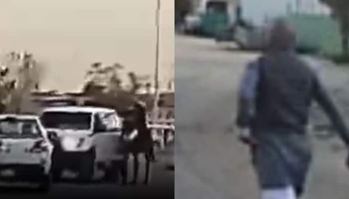 horse stabbed multiple times and severely injured in kuwait 