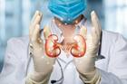 World Kidney Day 2025: What does your urine reveal about your health; know what is Urinalysis