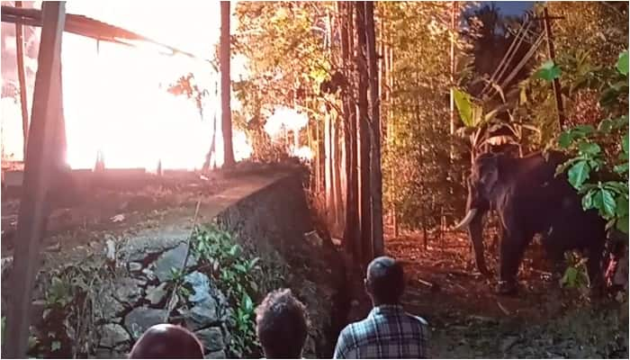  elephant in a temple festival tried to run due to heavy crack sound