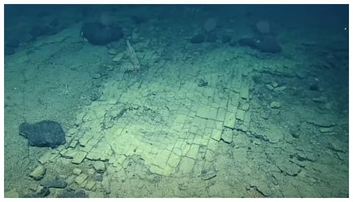 road like yellow bricks laid at the bottom of the sea, a video of researchers goes viral