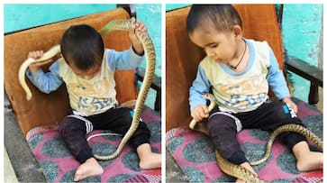 Video of a child playing with a snake goes viral Video of a child playing with a snake goes viral