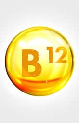 foods that boost vitamin b12 levels