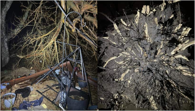 Severe storms trigger deadly tornadoes in US leaving 27 dead; Missouri, Texas worst hit; WATCH
