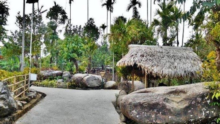 article_image7