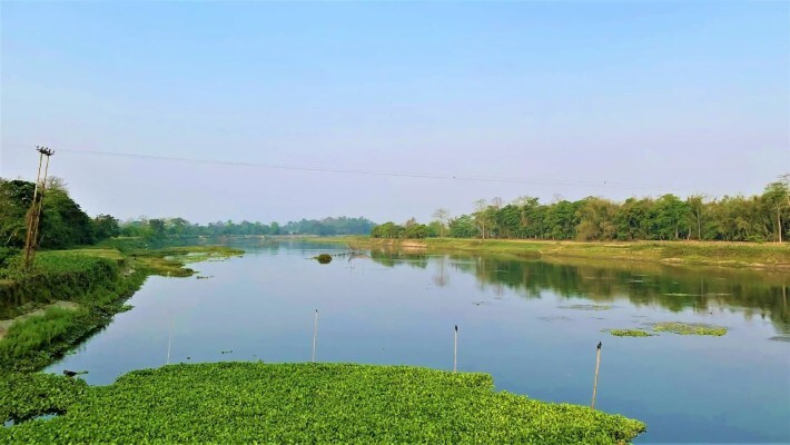 article_image5