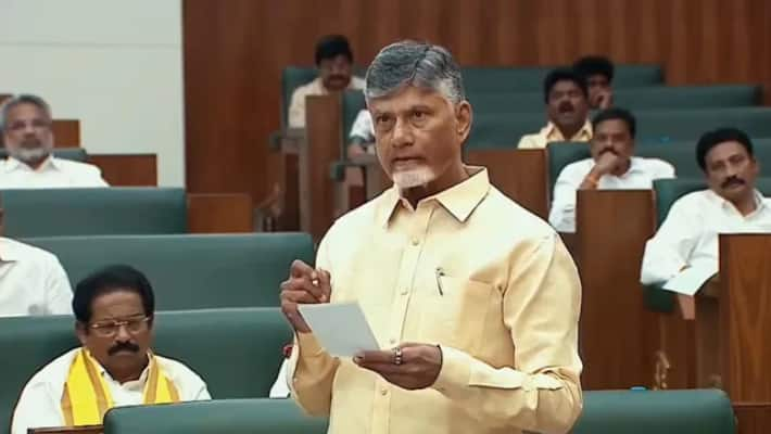 Andhra Pradesh Chief Minister Chandrababu Naidu