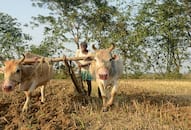 ayushman-bharat-yojana-kisano-ko-nahi-milta-labh-eligibility-rules