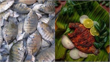 From Pearl Spot Fry to Prawn Curry: Must-try dishes from Kerala's coast ...