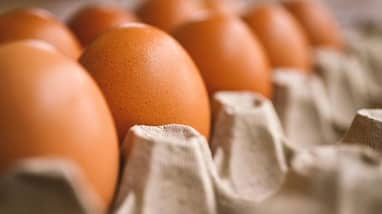 egg shortage US turns to Denmark for help egg shortage US turns to Denmark for help