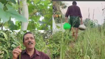 Thieves steal vegetables that are about to be harvested in Kannur Thieves steal vegetables that are about to be harvested in Kannur