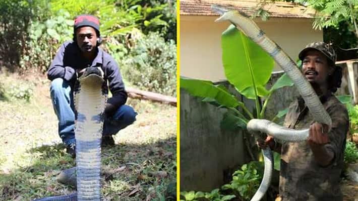 coimbatore snake rescuer santhosh kumar dies