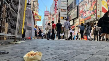 Why Japan Has No Public Dustbins reason behind gow Why Japan Has No Public Dustbins reason behind gow