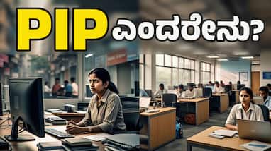 what is Performance Improvement Plan or pip in office what should employees do what is Performance Improvement Plan or pip in office what should employees do