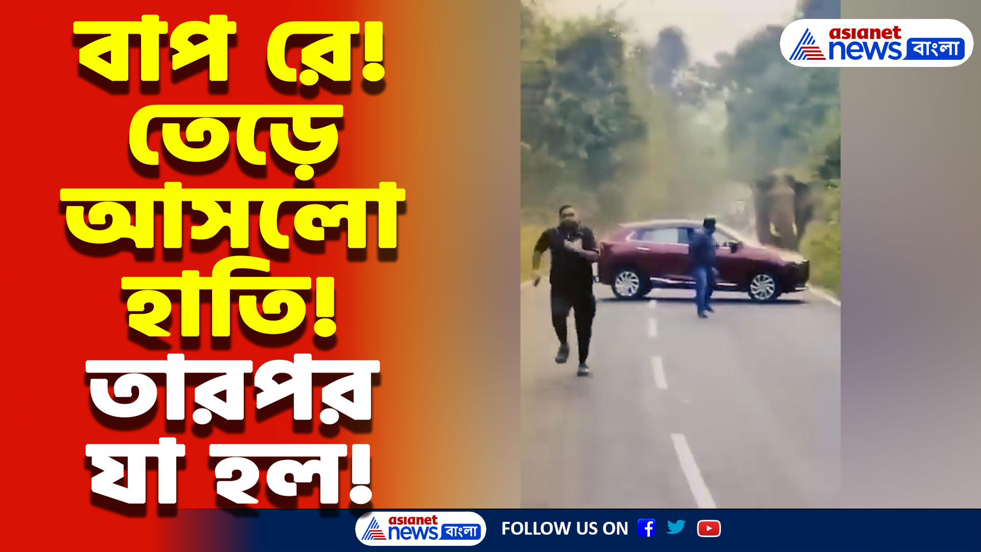 Jalpaiguri Latest News: মুখোমুখি হাতি আর পর্যটকের গাড়ি! সাহসী পুলিশ অফিসারের তৎপরতায় অল্পের জন্য রক্ষা