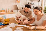 itr-filing-tax-saving-nps-80c-80d-80ccd2-ay-2024-25-how-to-save-tax