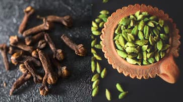 Health Benefits Of Chewing Cloves, Cardamom Health Benefits Of Chewing Cloves, Cardamom