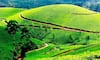 Day Trips from Hyderabad: Explore the best hill stations