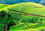 Day Trips from Hyderabad: Explore the best hill stations iwh