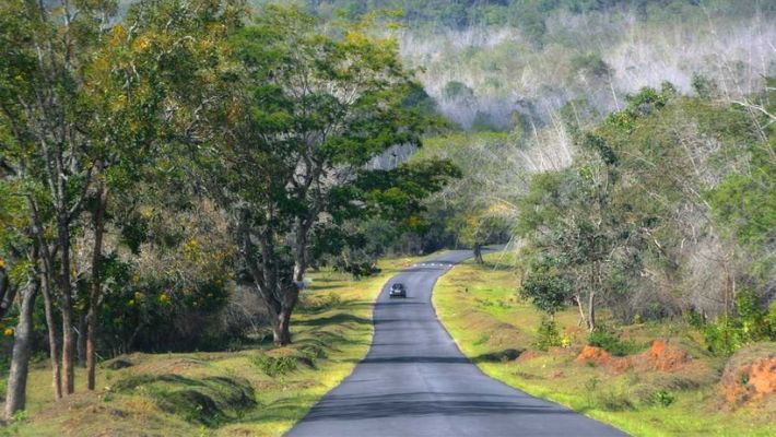 famous national parks of india