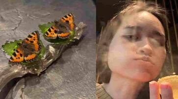Viral Michelin Restaurant Menu Butterfly Insect Ice Cream in telugu rma Viral Michelin Restaurant Menu Butterfly Insect Ice Cream in telugu rma
