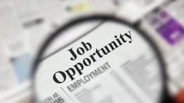 Vacancies in Spices Board, applications invited Vacancies in Spices Board, applications invited