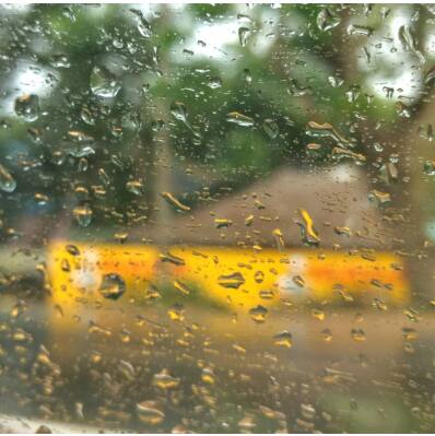 Kerala declares holiday for educational institutions in multiple districts amid heavy rainfall