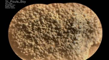 NASA reveals first hints of Spider Egg Rock on Mars discovered by perseverance rover NASA reveals first hints of Spider Egg Rock on Mars discovered by perseverance rover