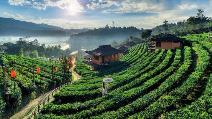 Kid-friendly hill stations in Himachal