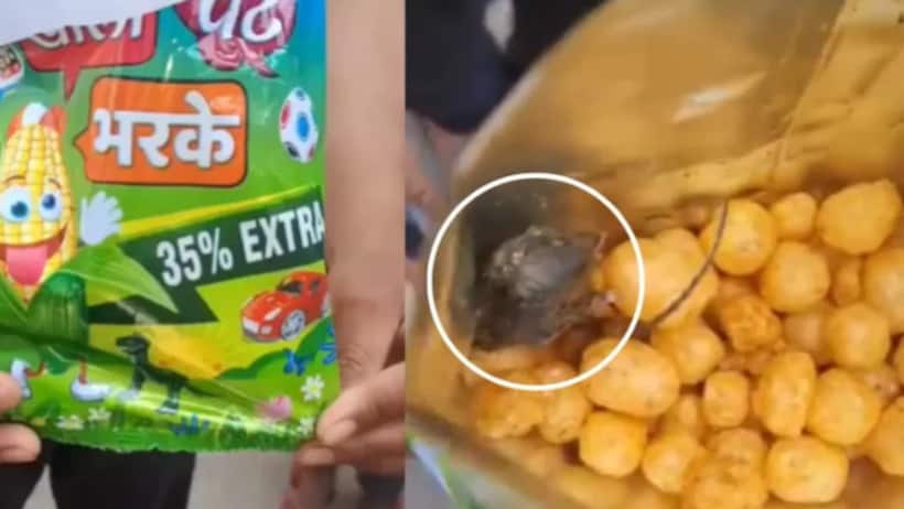 up news saharanpur packet food rat found inside child shocked food safety investigation 