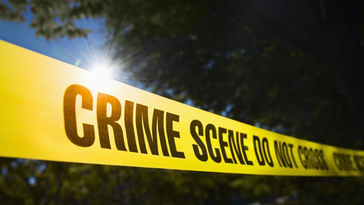Crime News