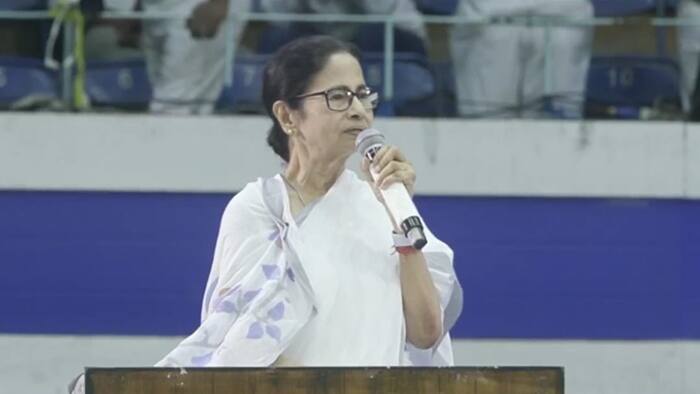 Mamata