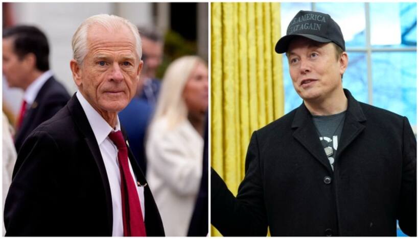 'PhD in Econ from Harvard is bad': Elon Musk's swipe at Trump tariff advisor Pete Navarro as feud goes public