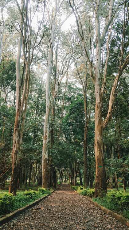 2. Green Breaths Amid Concrete