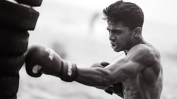 Alappuzha Gymkhana become real vishu winner box office collection Alappuzha Gymkhana become real vishu winner box office collection