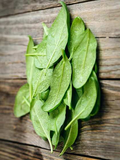 9 Amazing health benefits of Betel Leaf you must know